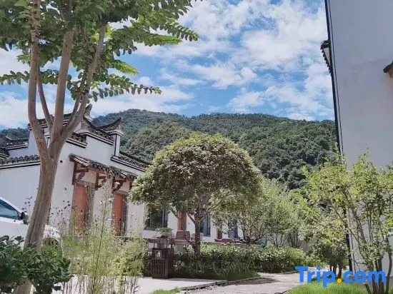 Taohuatan Xinyuan Homestay