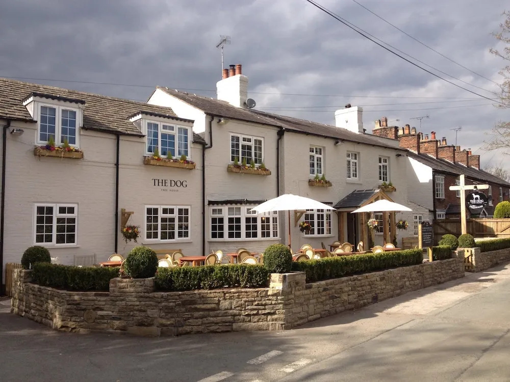 The Dog in Over Peover