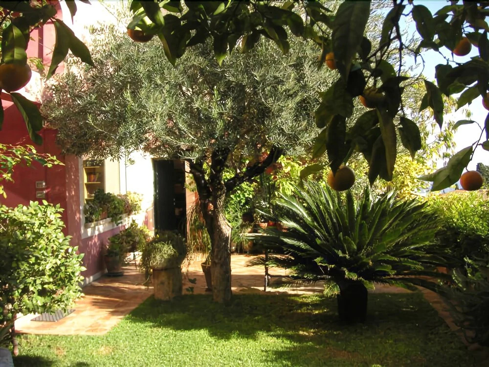 Garden Theater View House