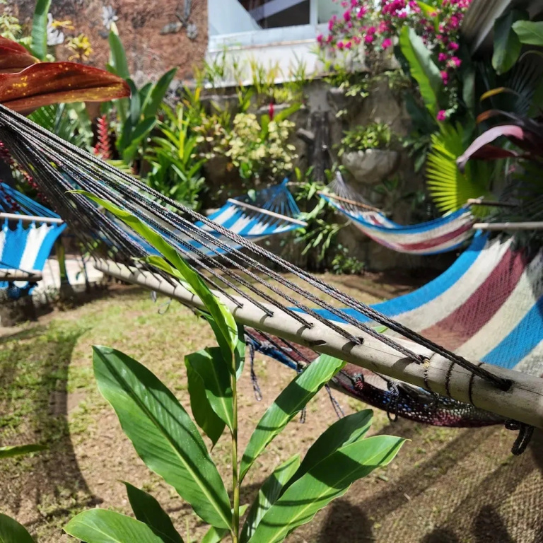 Arenal Poshpacker Boutique Urban Tropical Hotel