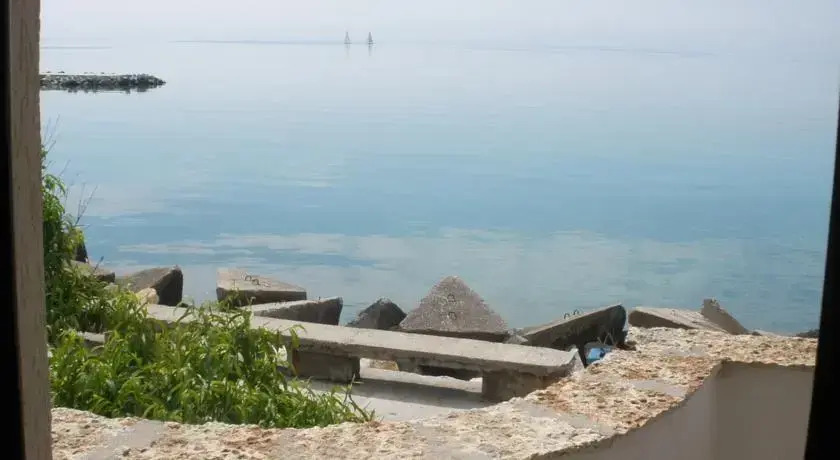 Hotel Los Dos Gallos (Dvata Petela)