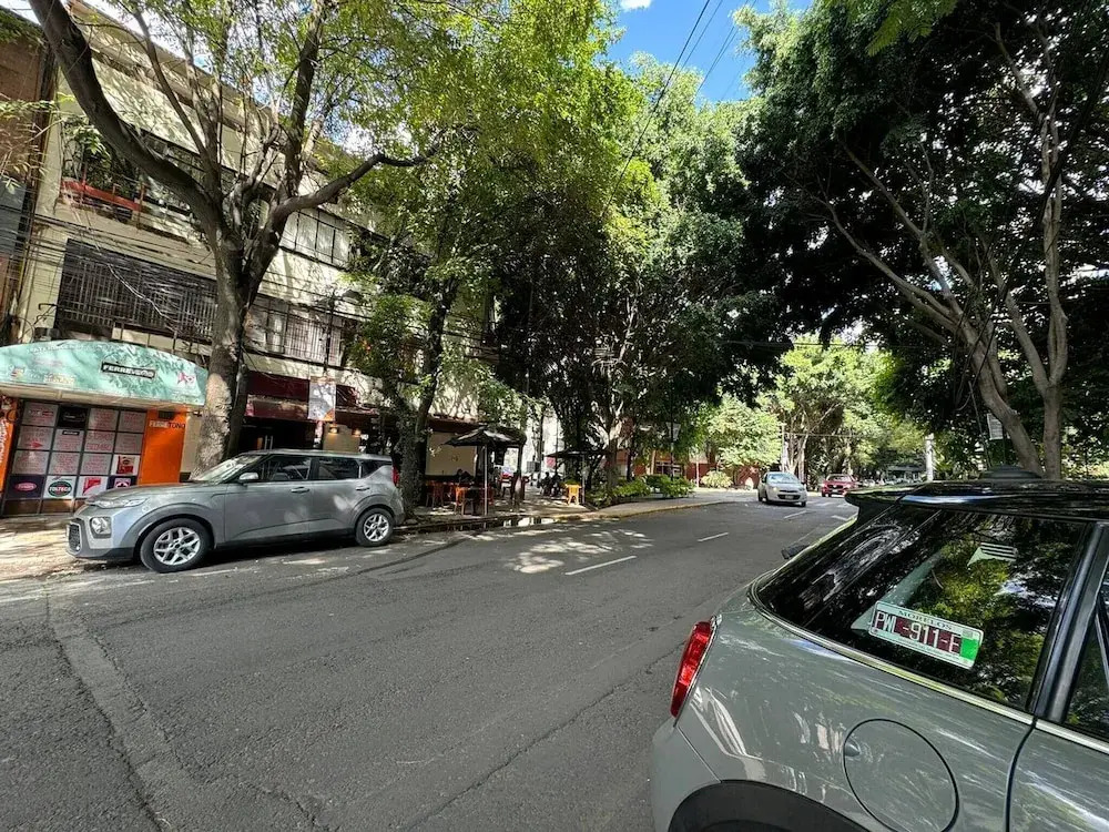 Apartment Near Reforma Agel