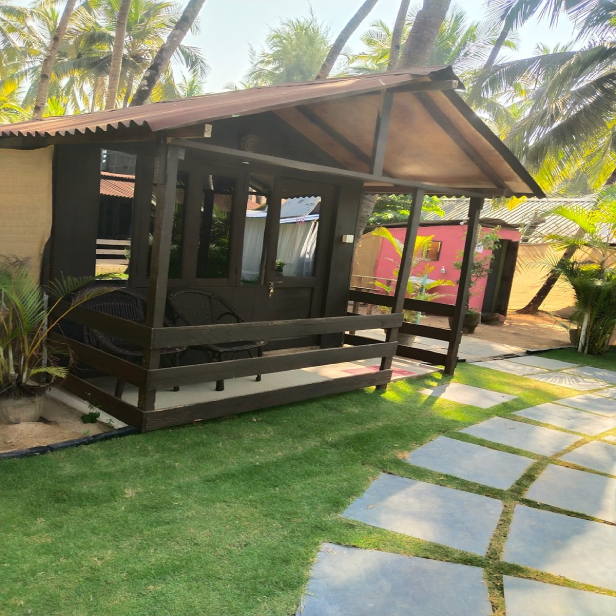 Papillon Palolem