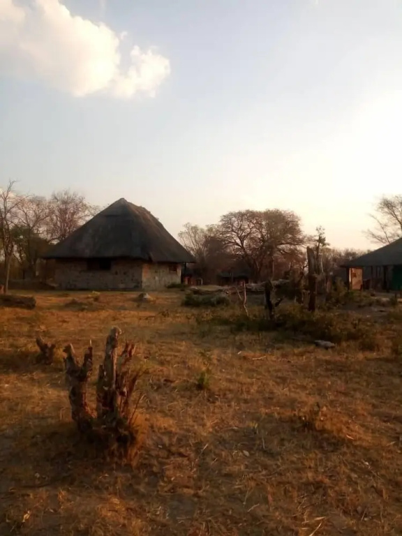 The elephant sounds lodge