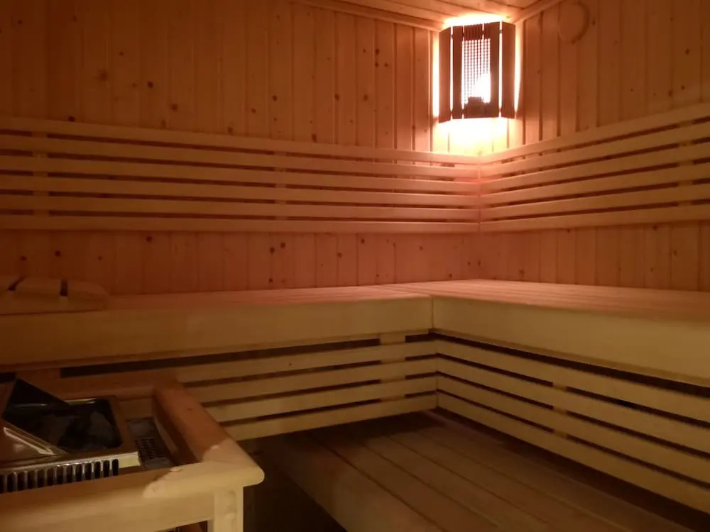 Magnifique Loft Alsacien - Sauna