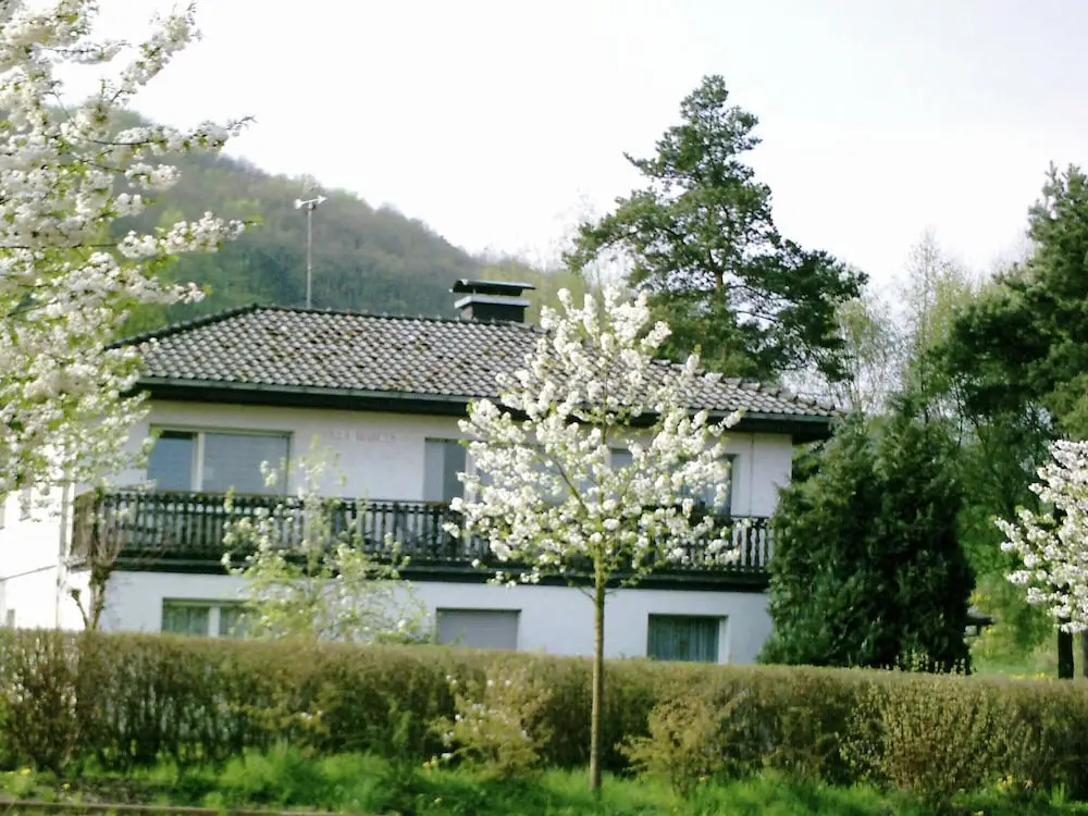 Large Apartment on the Diemelsee With Fireplace and Balcony