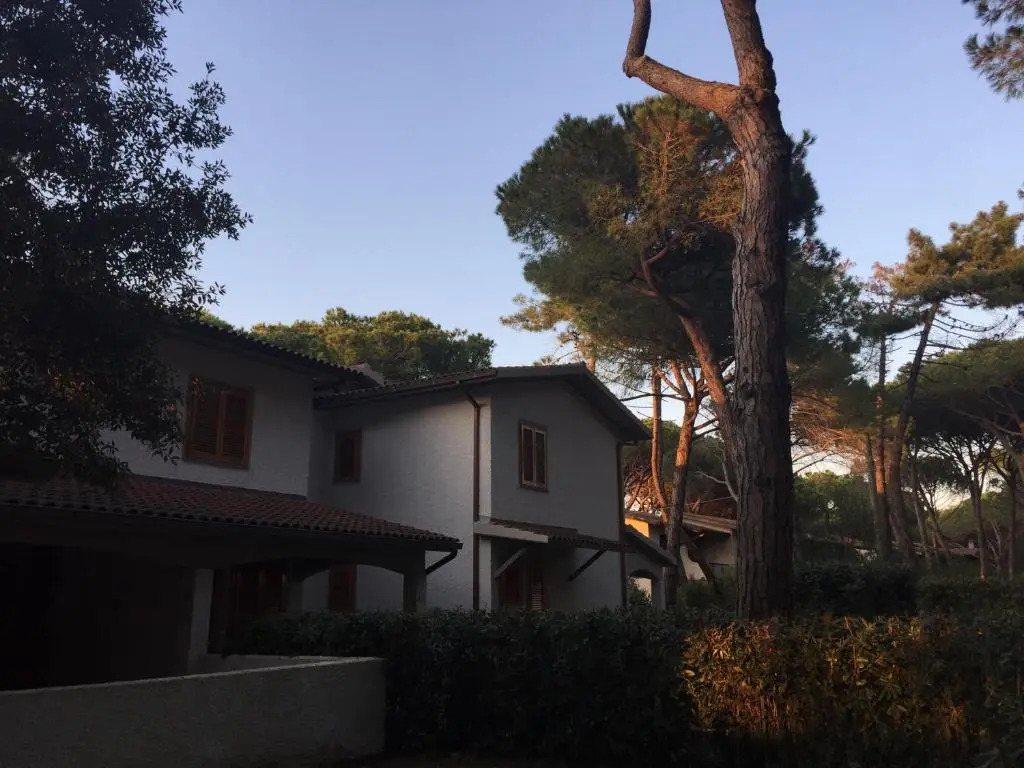 Girino II