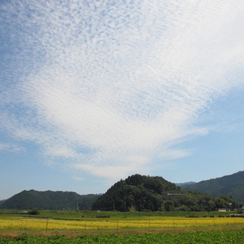 Ayabe Onsen Nioukan
