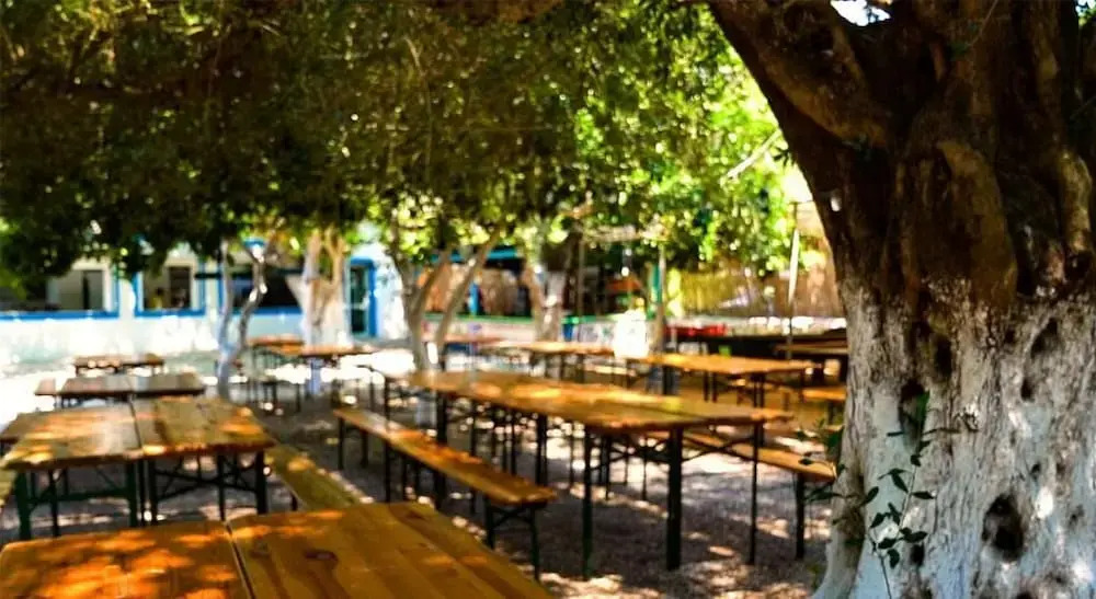 Social Camping JAL