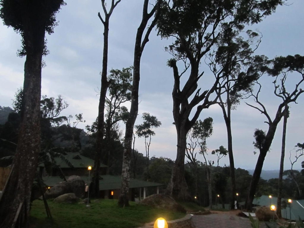Neelakurunji Luxury Plantation