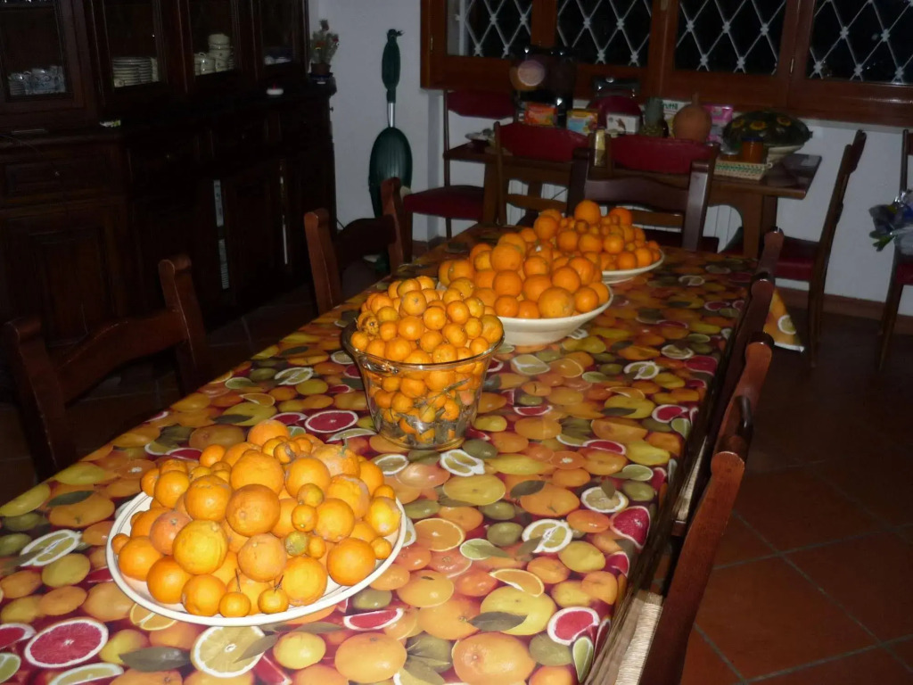 B&B Il Gelso