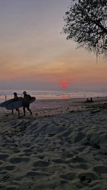 Habitat Surf Glamp