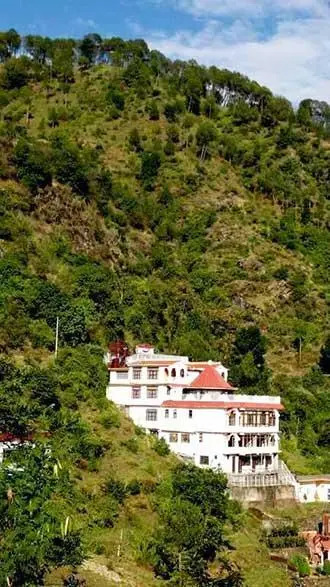 Little Chilli Shimla