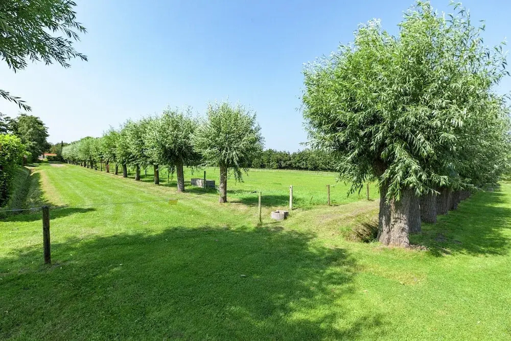 Peaceful Holiday Home near Center in Burgh Haamstede