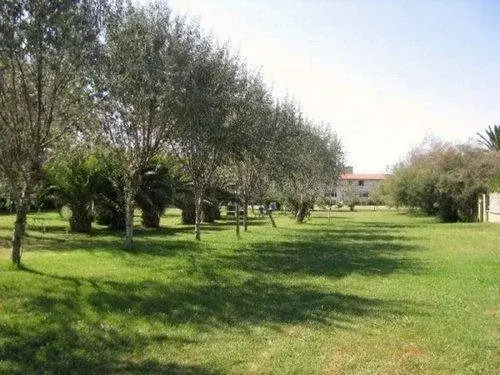 Pegaso Palace Hotel