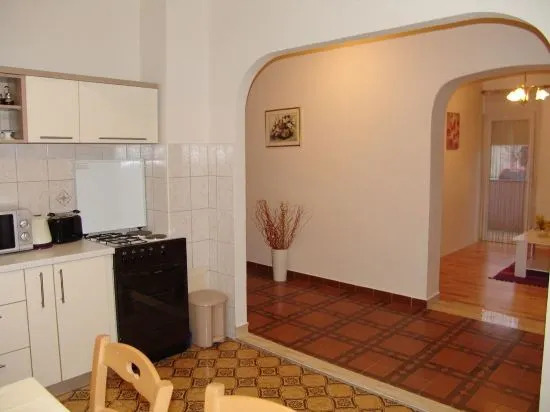 Apartment Viki