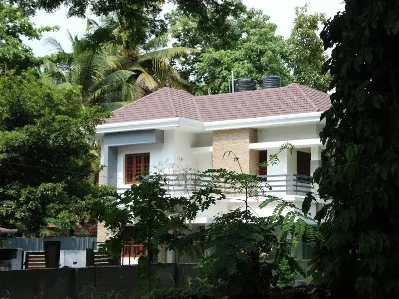 Rain Tree