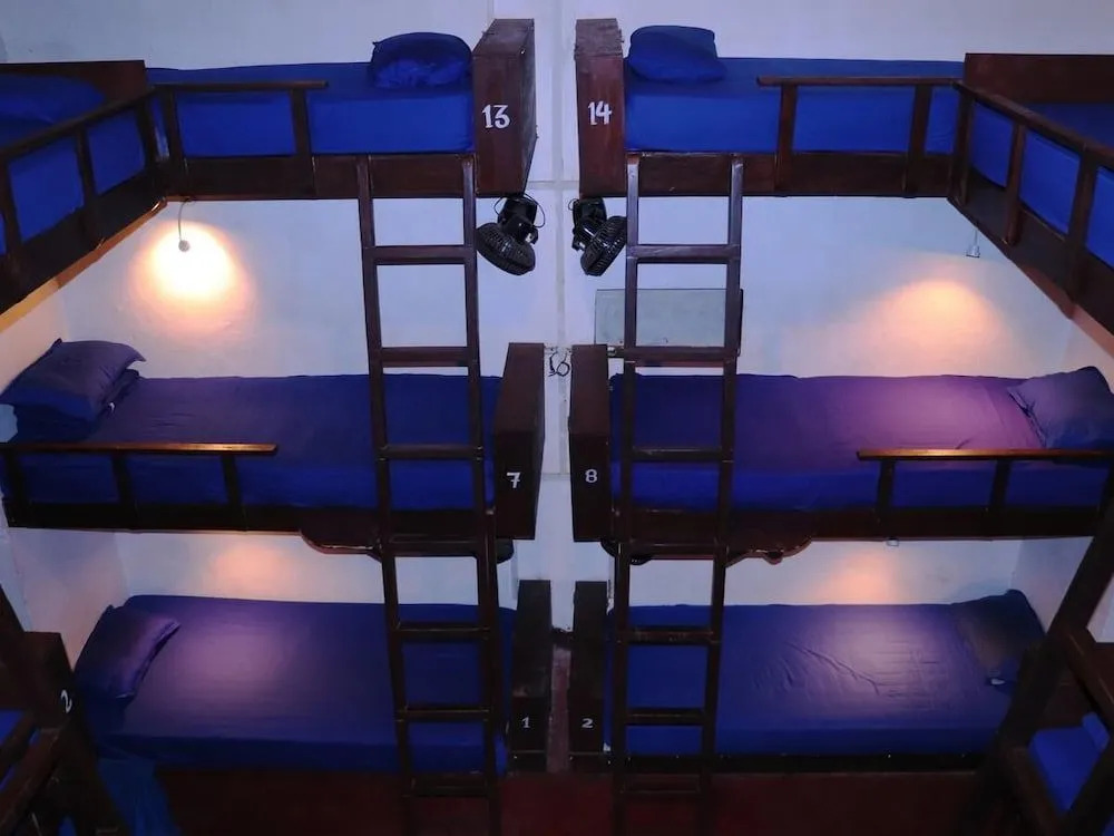 That Crazy Hostel