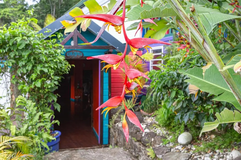 Paradise Lodge karibbean