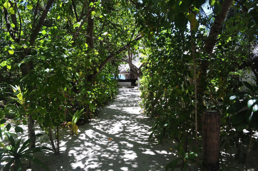 Makunudu Island- An Intimate Hideaway