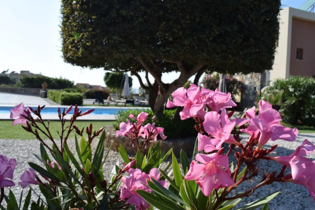 Aroma Villas