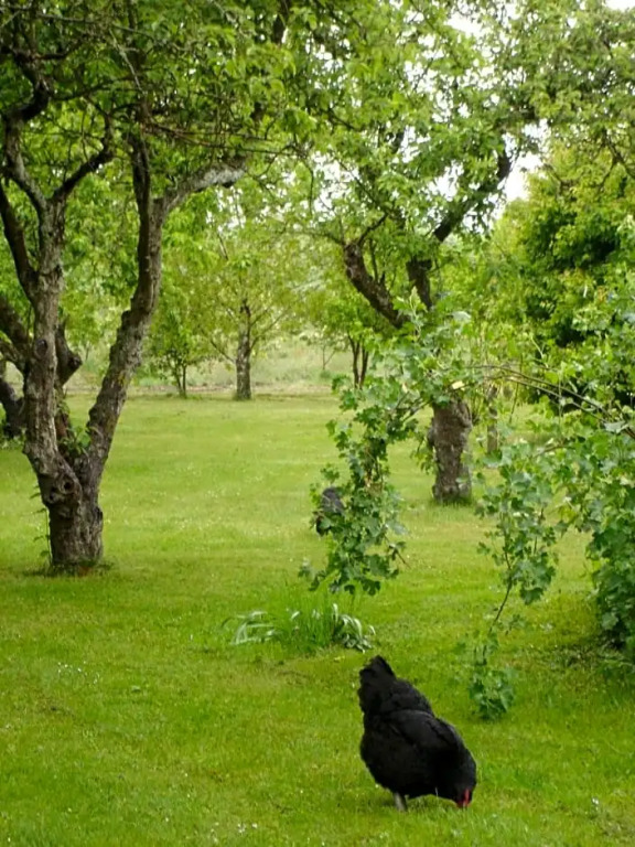 Moen Oekologisk Bed & Breakfast