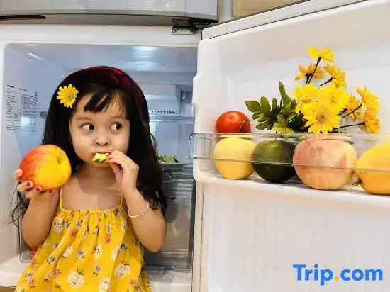 Cozy Homestay 2 BR sea view 29th flr Halong center