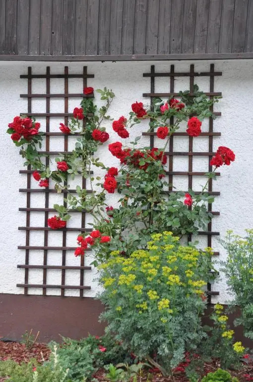 Vrtnarjeva hiša, The Gardeners Cottage