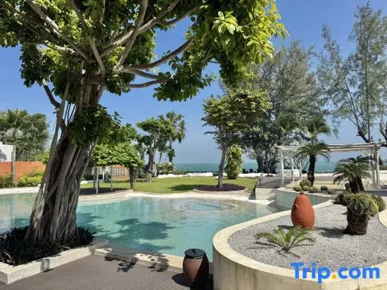 Las Tortugas Beach Front Condo - family Suite Room