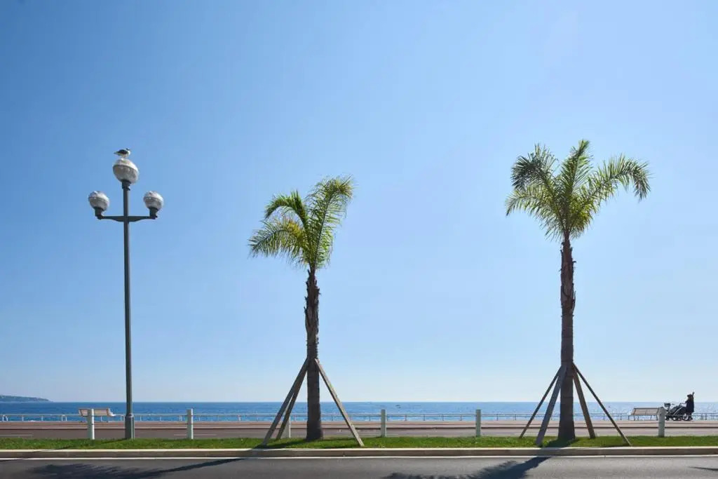Sunlight Properties - Sky blue - 3 bedroom flat with sea view on the Promenade des Anglais