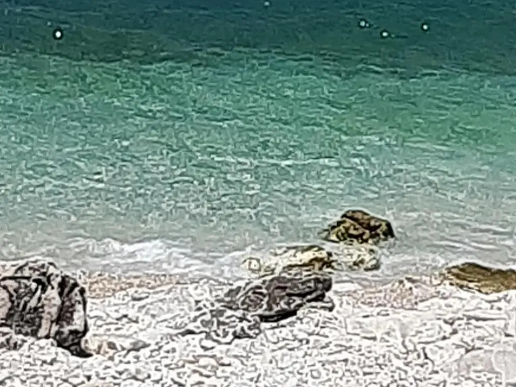 Premium Sea View Apartment