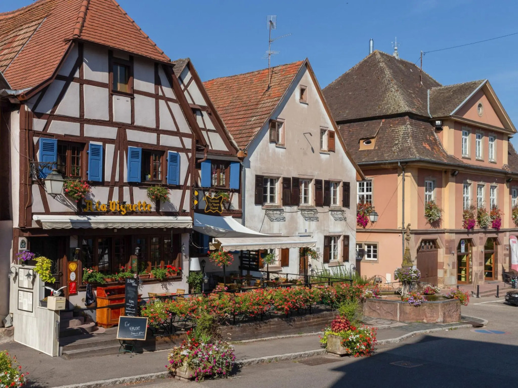 Apartment in Alsace Near Europa-park