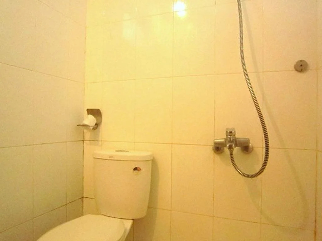 Thanh Long PMH Hotel