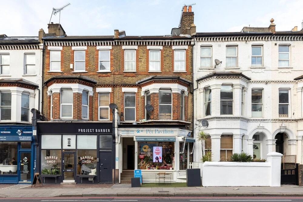 Amazing Flat in Battersea