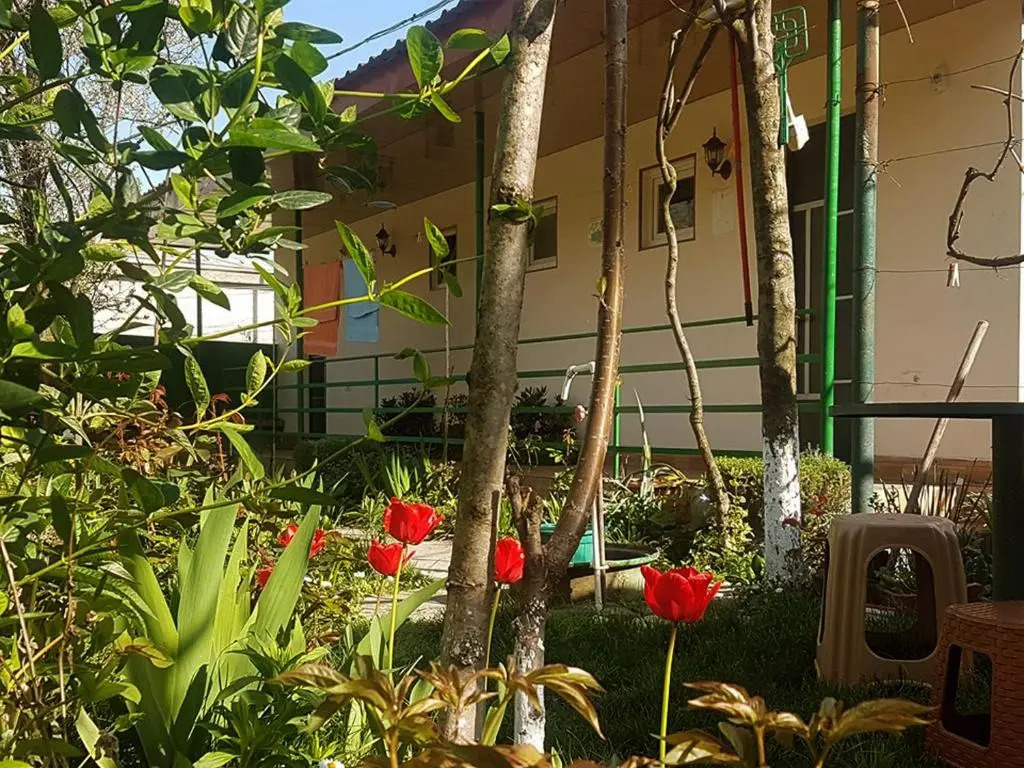 Guest House Villa
