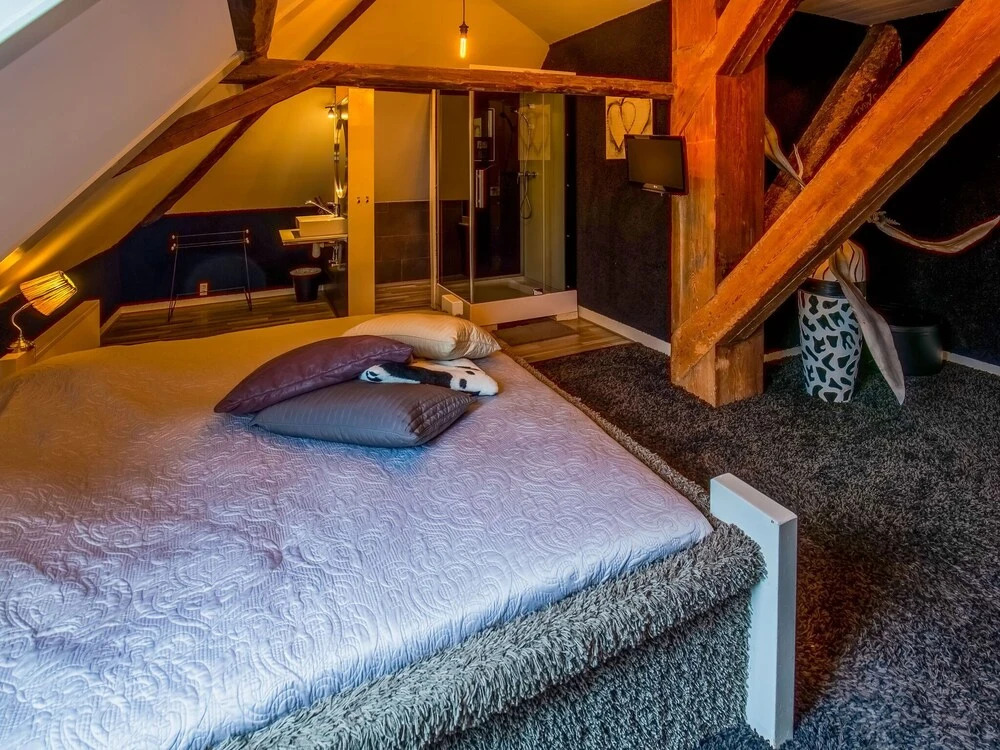 Charming Farmhouse in Egmond aan den Hoef with Sauna