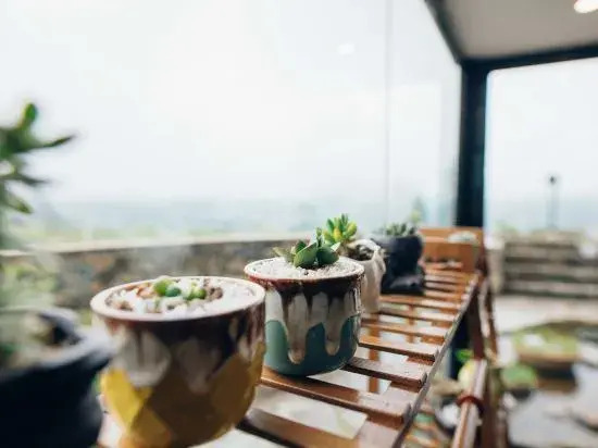 Yutang Muyun Homestay