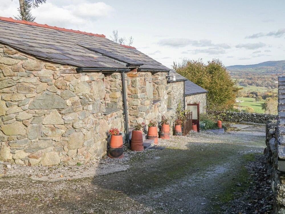 Cae Asaph
