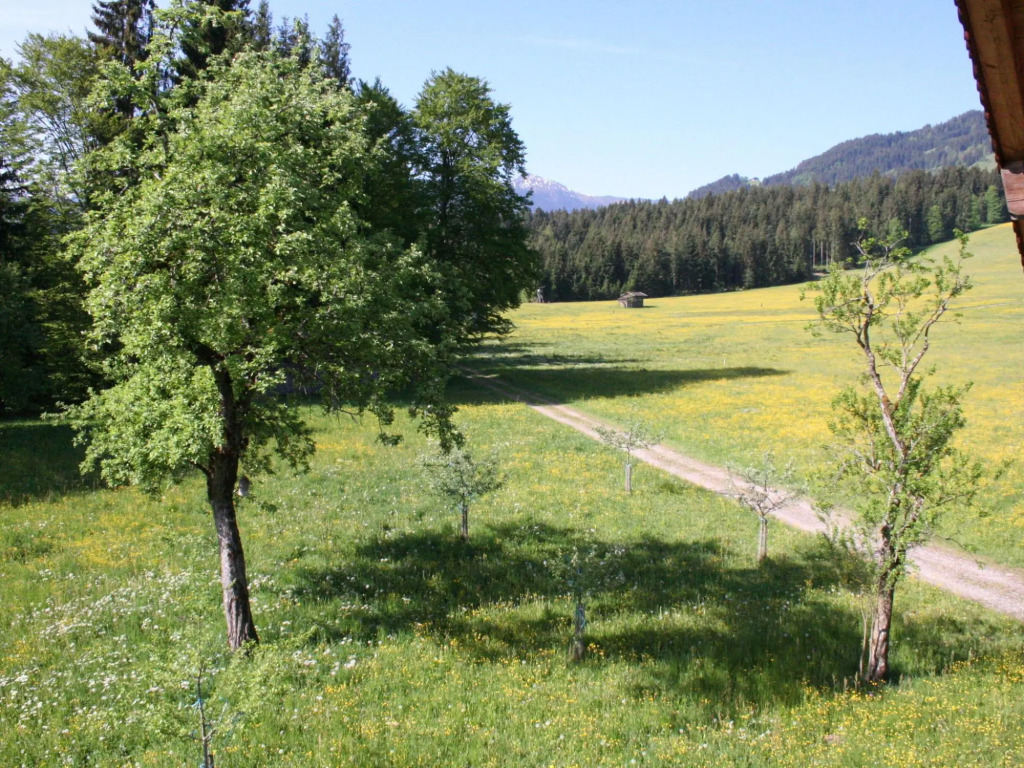 Farmhouse in Hopfgarten near SkiWelt
