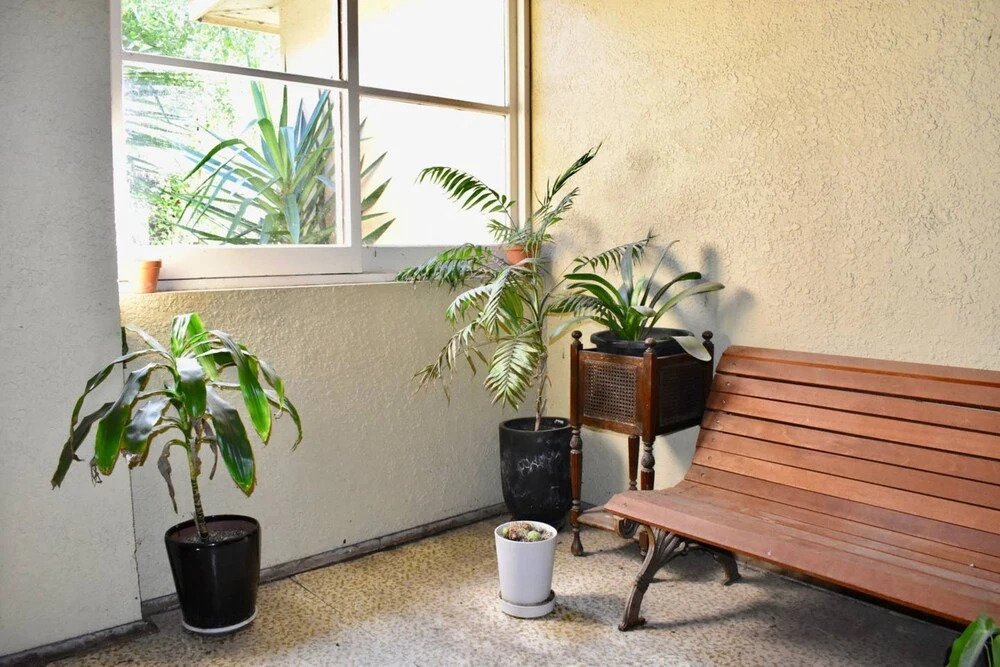 Artistic Apartment in Sunny Elwood near St Kilda