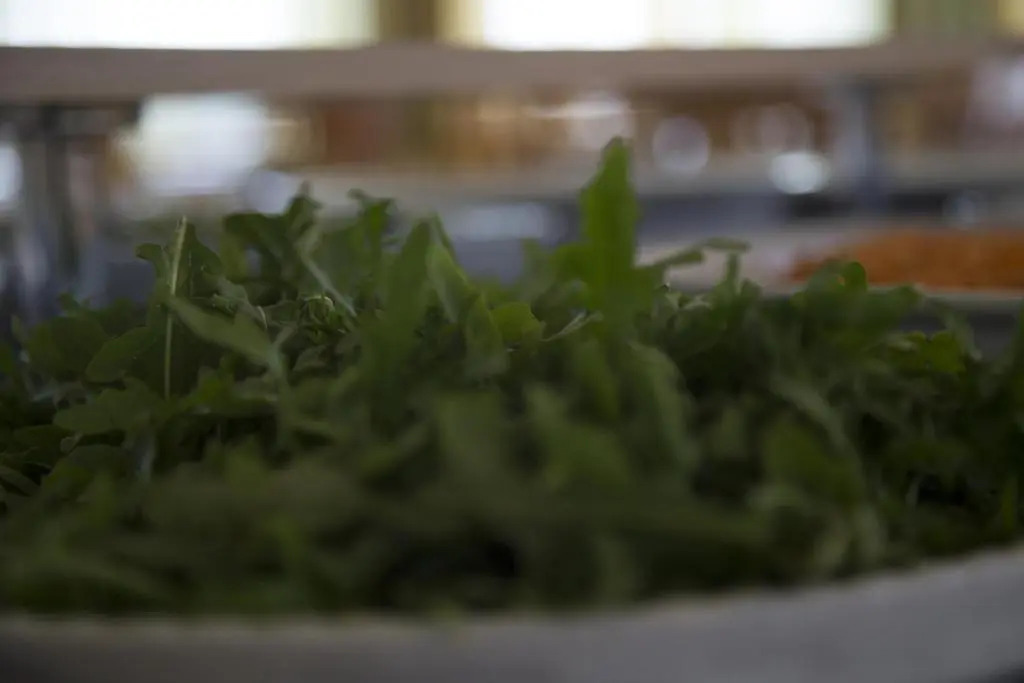 Hotel Mediterraneo