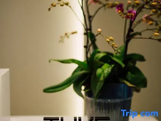 Tuke Light Hotel