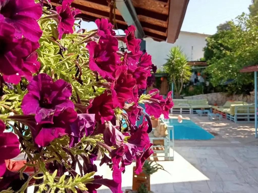 TUTHALİYA HOTEL