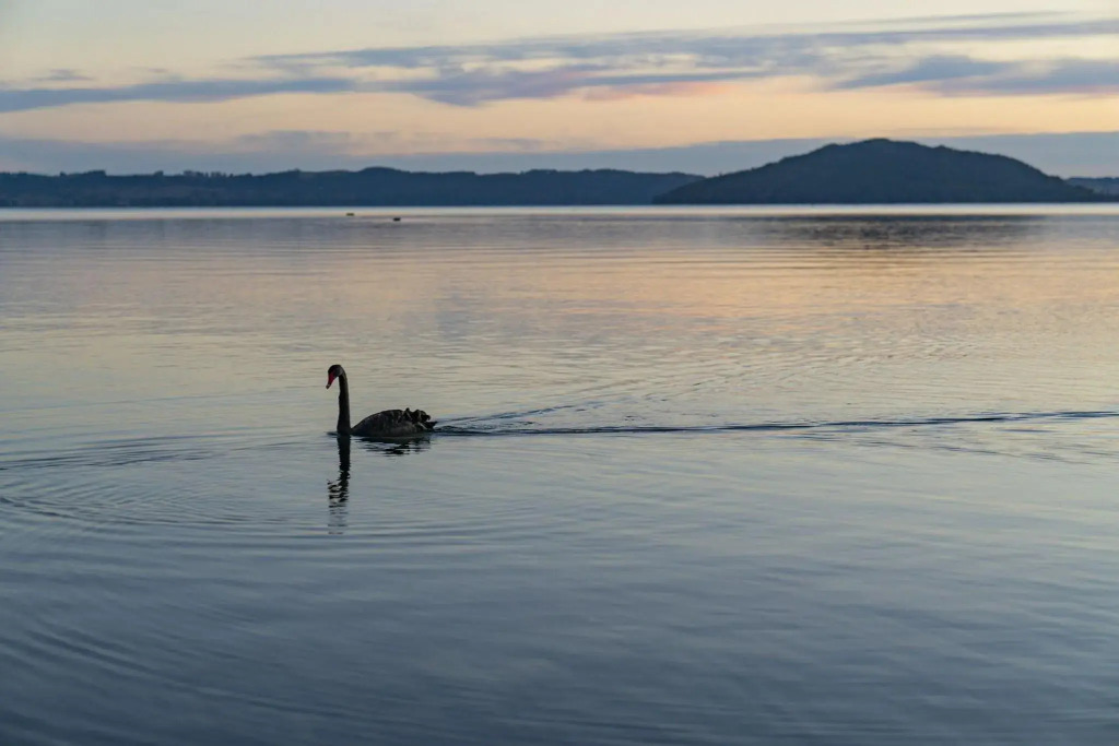 Silver Fern Rotorua Suites & Spa