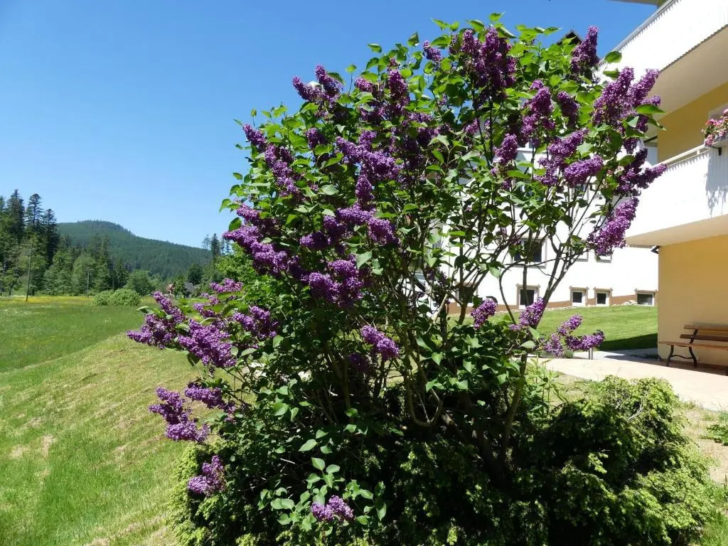 Pension Haus Gisela