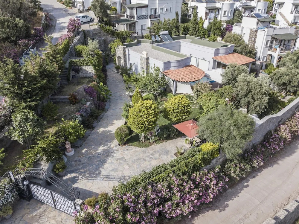 Villa Olivia