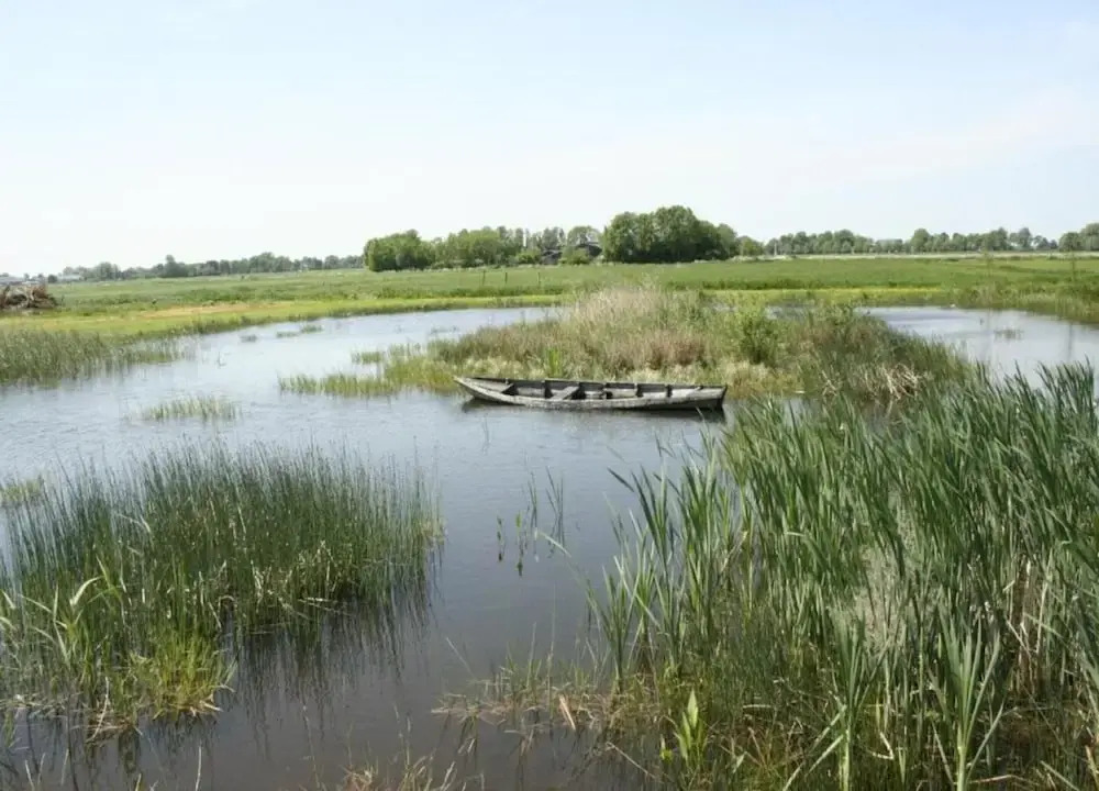 Canal-side Stay, Giethoorn