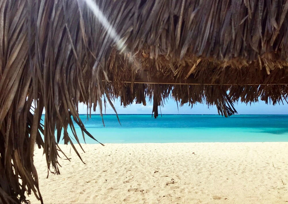 Aruba Stop by The Stop Club