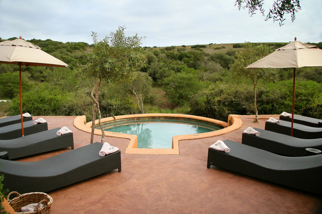 Safari Lodge - Amakhala Game Reserve