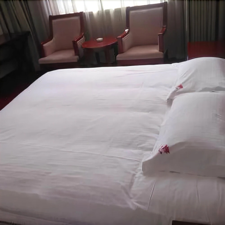 Longxiang Hotel